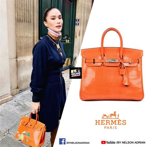 heart evangelista himalayan hermes bag price